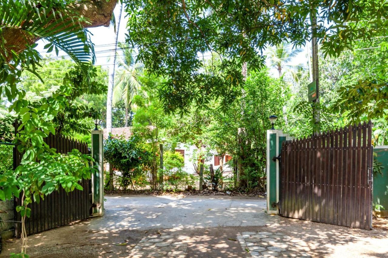 Julia Safari Inn Tissamaharama Exterior foto